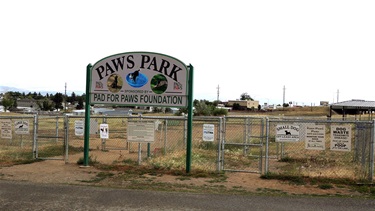 Dog park at Centennial Park.