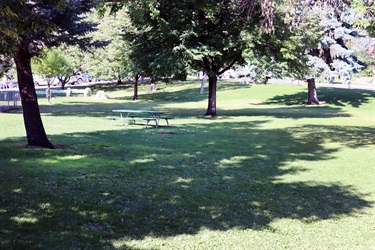 Grass and trees at Pioneer Park.