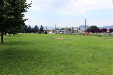 Grass at Waukesha Park.